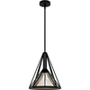 image:imageHunter  Rafner 1light Natural Black Iron Medium Size Pendant Light Dimmable Geometric Style Geometric Shaped for Bedrooms Kitchens Dining Living Rooms  19451Natural Iron