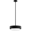 image:imageHunter  Station 2light Natural Black Iron Medium Size Pendant Light Dimmable Modern Style Drum Shaped for Bedrooms Kitchens Dining Living Rooms  19271