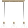 image:imageHunter  Van Nuys 3Light Alturas Gold Transitional Style Dimmable Large Cluster Light for Bedrooms Kitchens Dining Living Rooms  19307