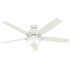 image:imageHunter Donegan Indoor with LED Light with Pull Chain Control 60 Fresh White