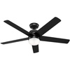 image:imageHunter Fan 52 inch Casual Matte Black Outdoor Ceiling Fan with LED Light Kit Renewed