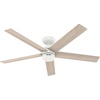 image:imageHunter Fan 52 inch Fresh White IndoorOutdoor Ceiling Fan with 5 Blades for Patios Bedroom Living Room Office Kitchen Renewed CC5C29C29