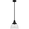 image:imageHunter Fan Company 19247 Cypress Grove Pendant Natural Iron