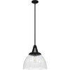 image:imageHunter Fan Company 19251 Cypress Grove Pendant Natural Iron