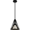 image:imageHunter Fan Company 19449 Rafner Pendant Light Natural Black Iron