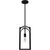 image:imageHunter Fan Company 19738 Dukestown Pendant Light Natural Iron