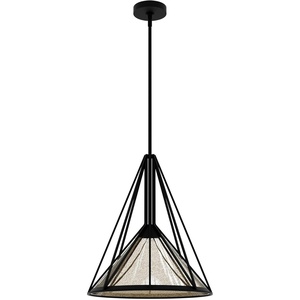 image:imageHunter  Rafner 1light Natural Black Iron Medium Size Pendant Light Dimmable Geometric Style Geometric Shaped for Bedrooms Kitchens Dining Living Rooms  19451Natural Black Iron