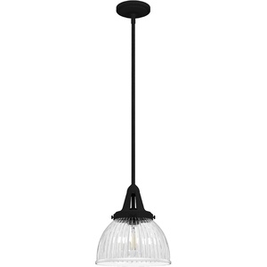 image:imageHunter Fan Company 19247 Cypress Grove Pendant Natural Iron