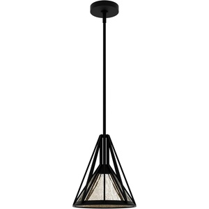 image:imageHunter Fan Company 19449 Rafner Pendant Light Natural Black Iron