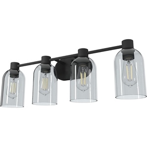 image:imageHunter Fan Company 19711 Lochemeade Vanity Light Natural Iron