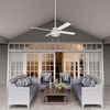 image:imageHunter Fan Company 51732 Spring Mill Indoor and Outdoor Ceiling Fan with Light 52 White