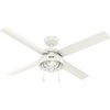 image:imageHunter Fan Company 51732 Spring Mill Indoor and Outdoor Ceiling Fan with Light 52 White