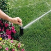 image:imageHunter PGP ADJ Rotor Sprinkler Nozzle 10Pack Red Installation Key Included