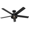 image:imageHunter Fan 52 inch Casual Matte Black Outdoor Ceiling Fan with Light Kit and Remote Control Renewed