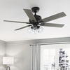 image:imageHunter Fonthill Indoor Ceiling Fan With Light Remote 52inch Fresh White Fast Install 6speeds Brushed NickelMatte Black