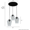 image:imageHunter Fan Company 19728 Vidria Cluster Pendant Matte Black
