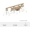 image:imageHunter Fan Company 48035 Van Nuys Vanity Lighting Alturas Gold