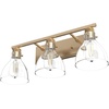 image:imageHunter Fan Company 48035 Van Nuys Vanity Lighting Alturas Gold