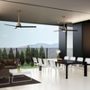 image:imageHunter 44 Aeronaut Outdoor Smart Ceiling Fan LED Light Remote BlackLuxe Gold