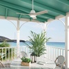 image:imageHunter 44 Aeronaut Outdoor Smart Ceiling Fan LED Light Remote BlackMatte Black